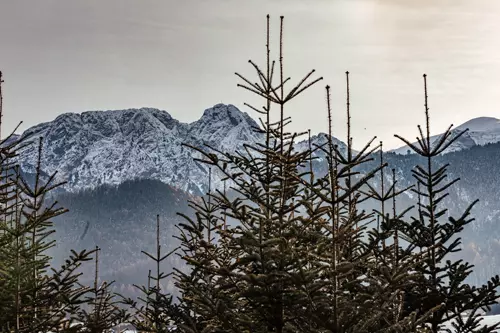 Widok na Panoramę Tatr z tarasu sypialni