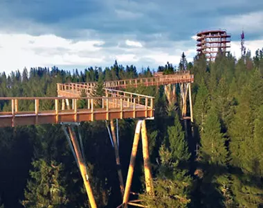 Bachledka Spacer w Koronach Drzew